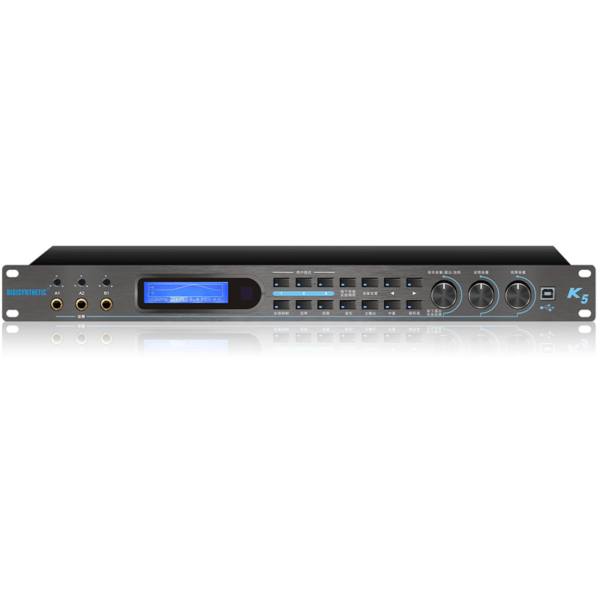 Digisynthetic K5 Karaoke - 4 Channel Professional Vocal Processor